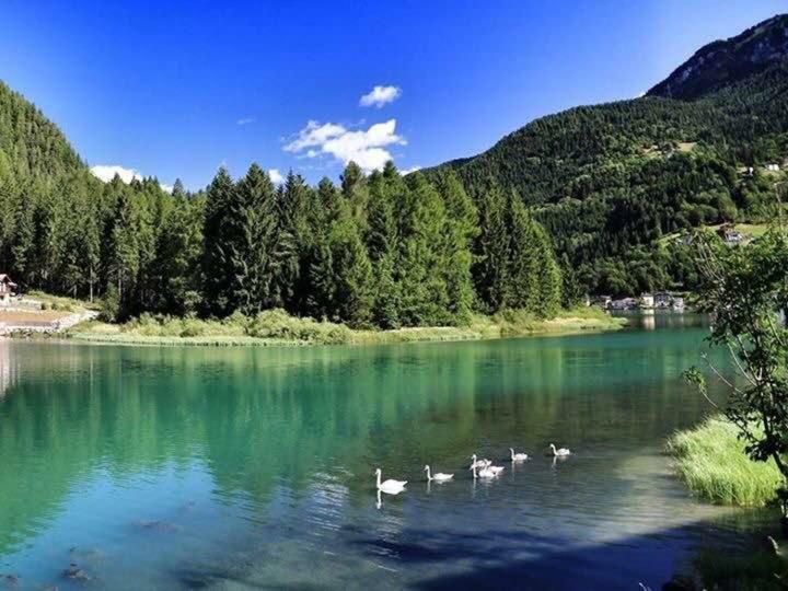 Appartamento Italia أليغ المظهر الخارجي الصورة